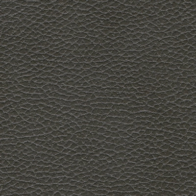 Ryversans Dual Power Recliner