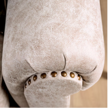 Furniture of America PARSHALL LOVESEAT Nailhead trim & Single Cushion Seat Pillows Included