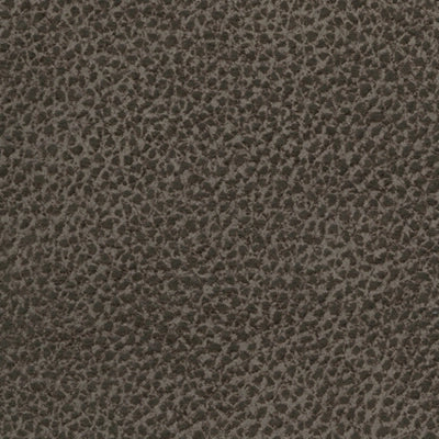 Cranedall Oversized Dual Power Recliner