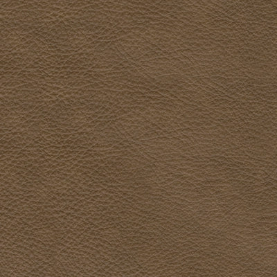 Strikefirst Power Leather Recliner