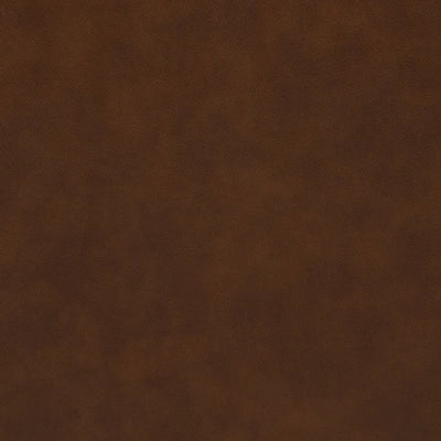 Backtrack Dual Power Leather Recliner