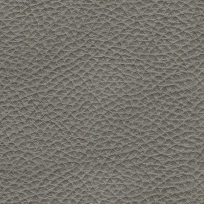 Backtrack Dual Power Leather Recliner