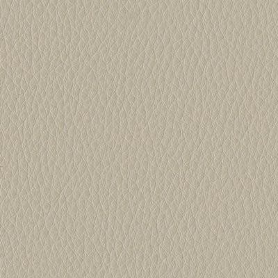 Texline Dual Power Leather Recliner